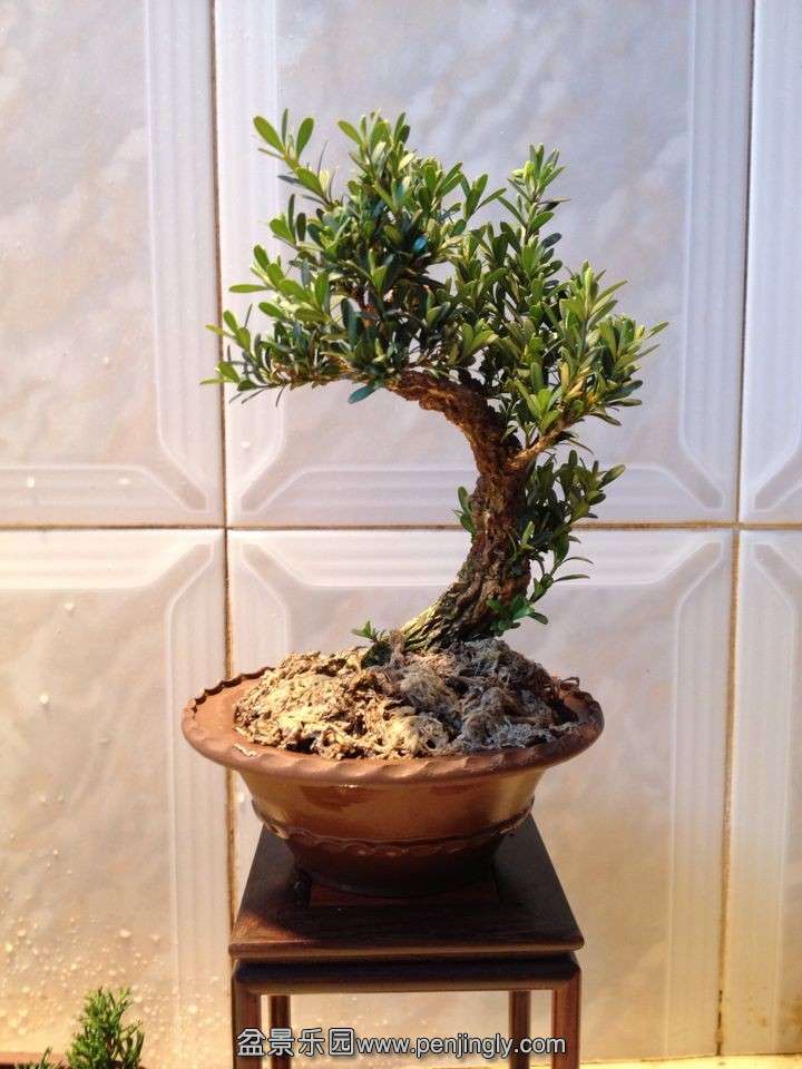 QQͼƬ20140309155759.jpg