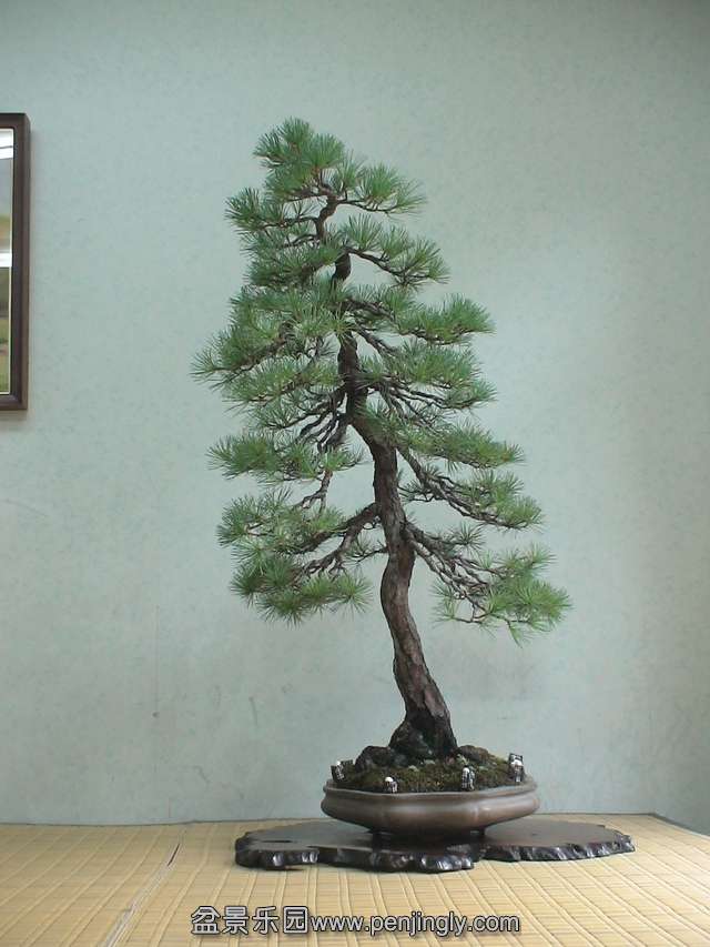 c0042153_7283436.jpg