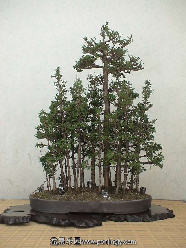 c0042153_8203322.jpg