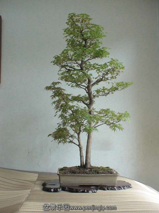 c0042153_8571845.jpg