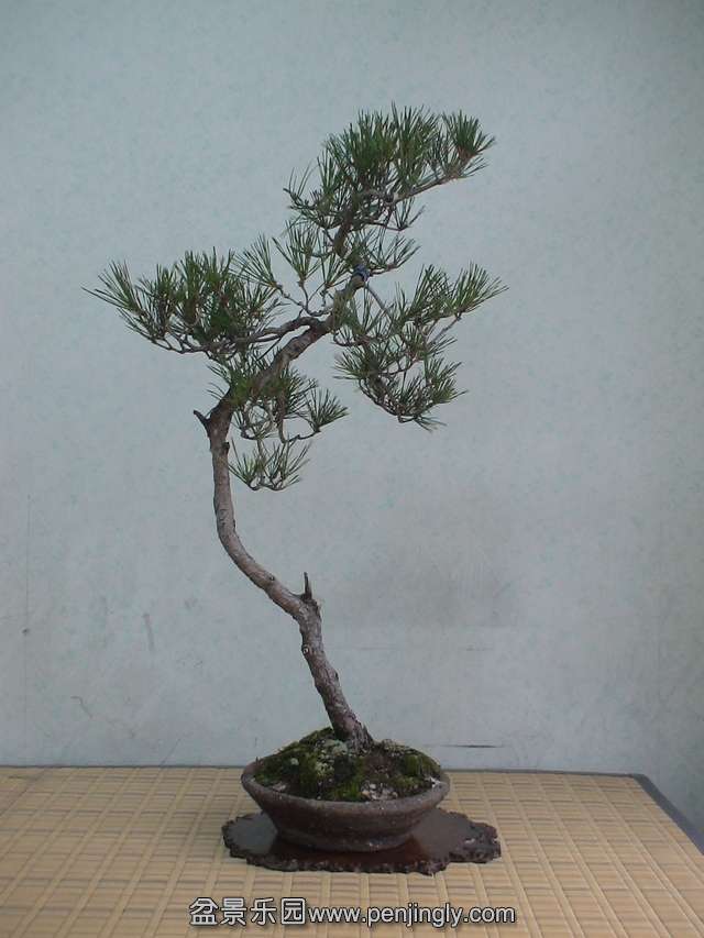c0042153_12433616.jpg