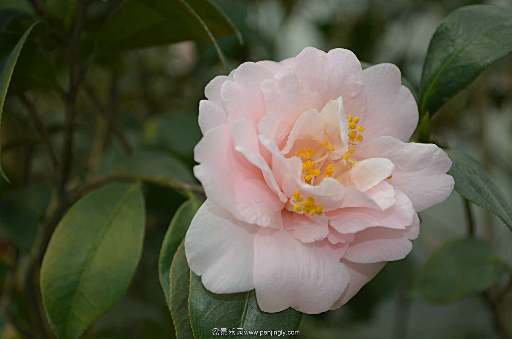 DSC_0253.JPG