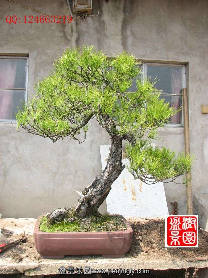 IMG_0904_.jpg