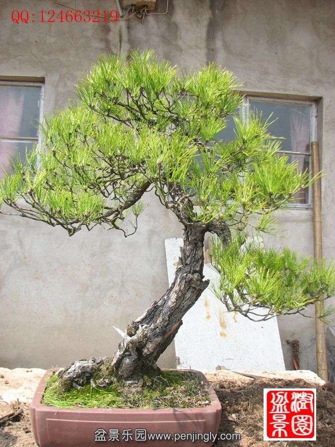 IMG_0909_.jpg