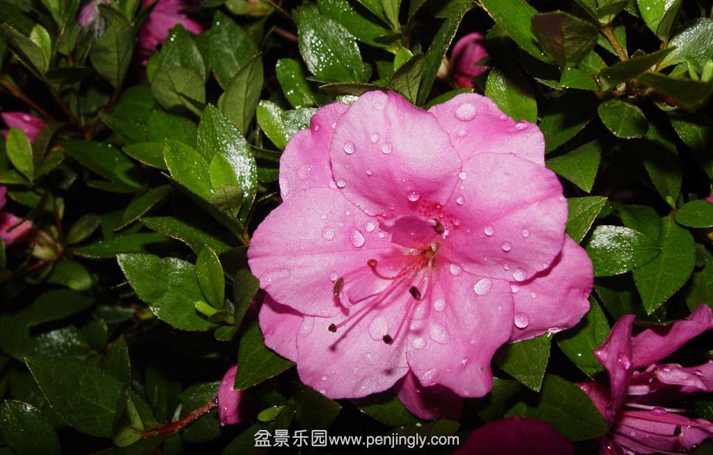 DSC00390.JPG