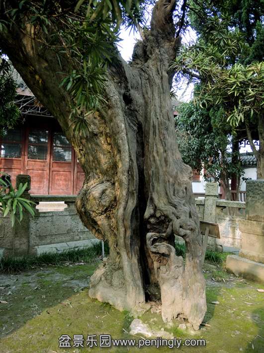 DSCN1454.jpg