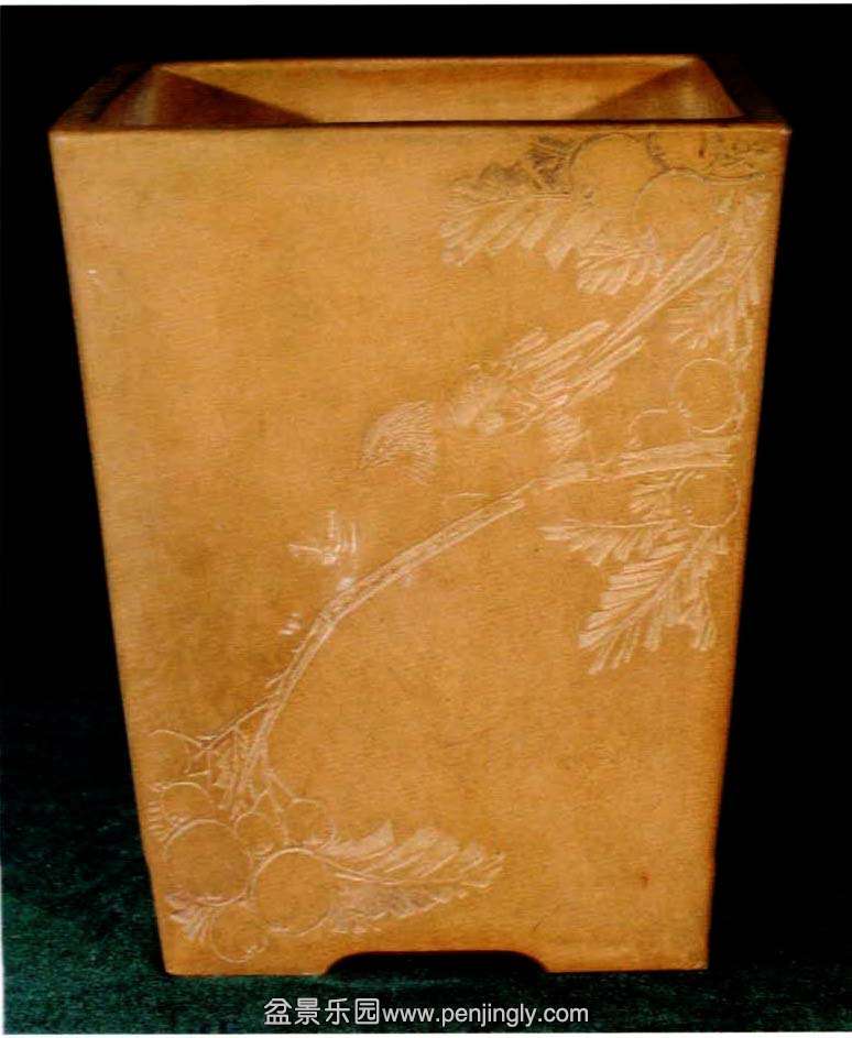 ڶֱڸ.jpg
