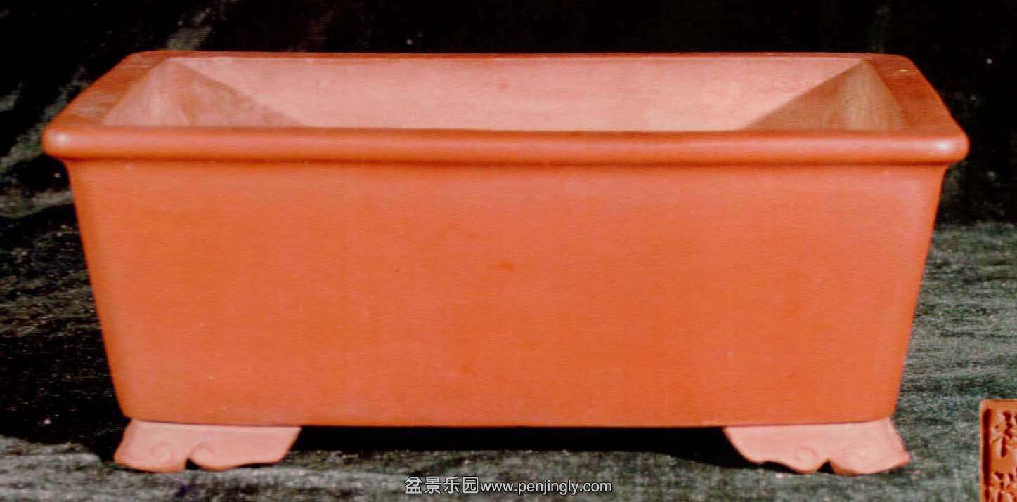 ںƽų.jpg
