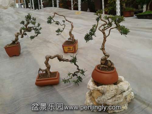 2014-03-10 13.51.10.jpg