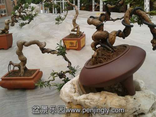 2014-03-10 13.52.14.jpg