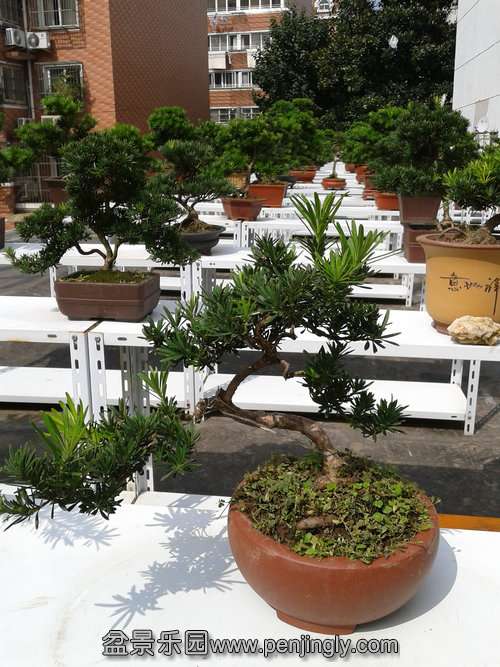 2013-09-29 12.57.02.jpg