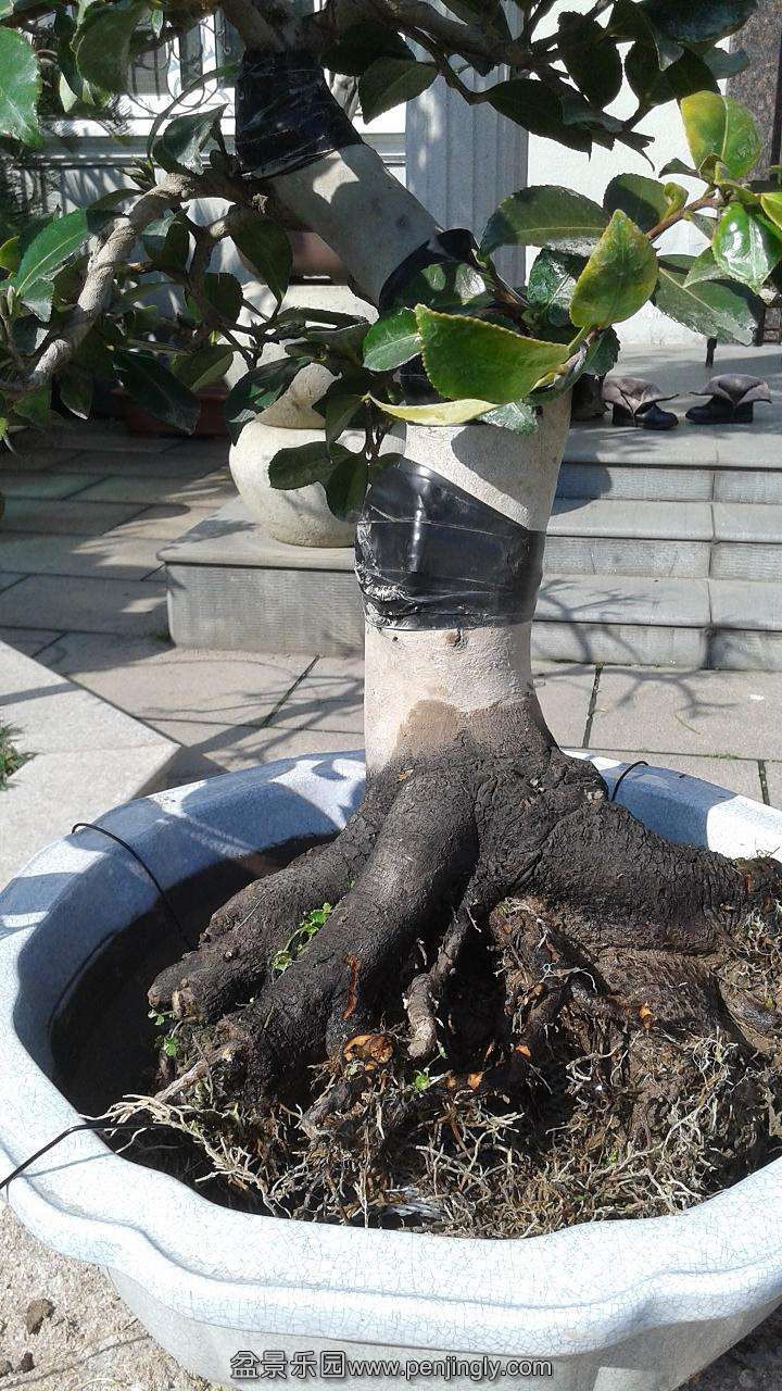 20140303_142906.jpg