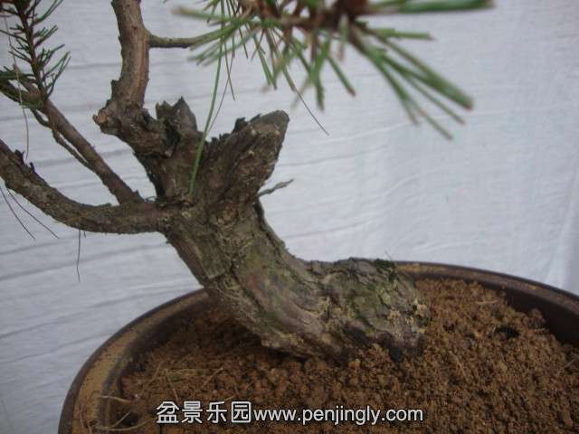 DSC02163_.jpg