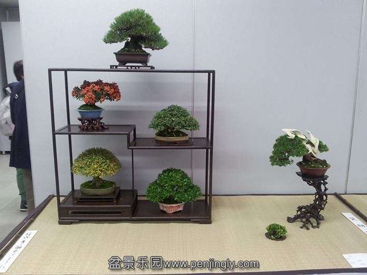 Shuga Ten 01-11-2013 004.jpg