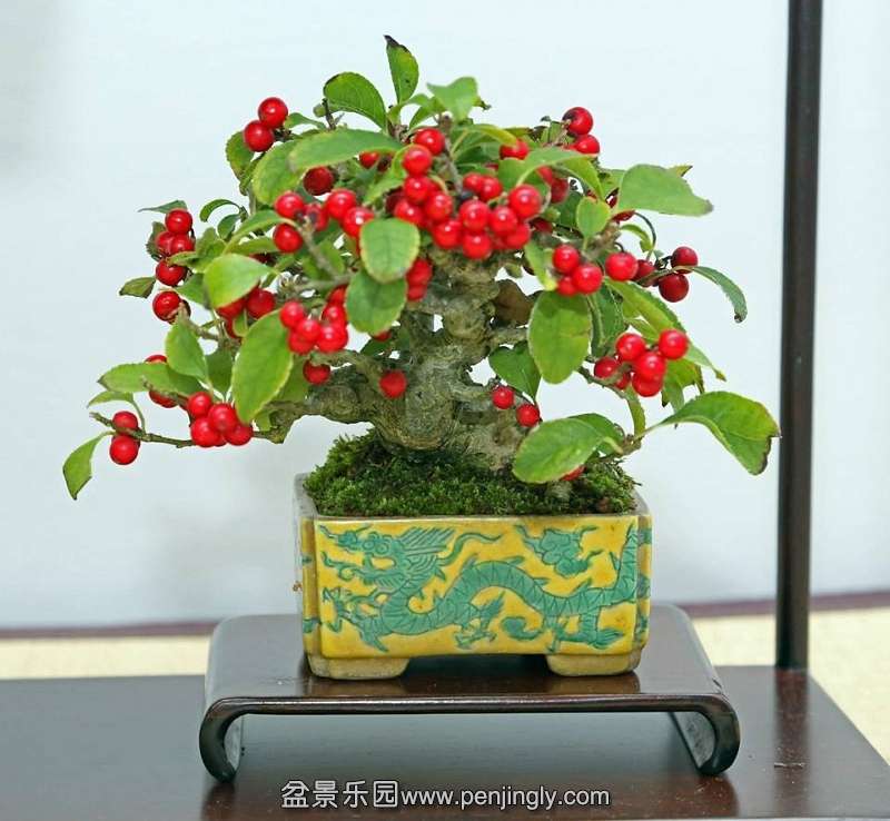 Shuga Ten 01-11-2013 009.jpg