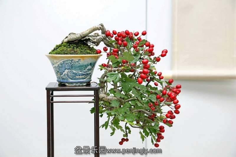 Shuga Ten 01-11-2013 012.jpg