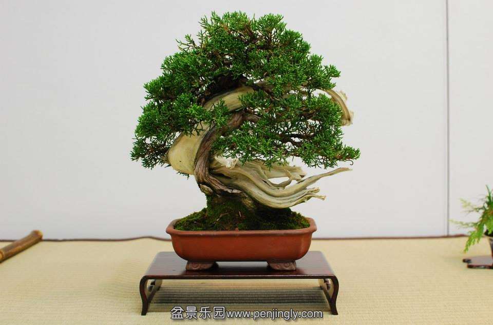 Shuga Ten 01-11-2013 014.jpg