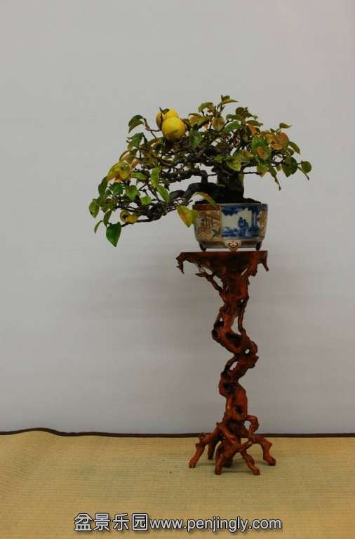 Shuga Ten 01-11-2013 015.jpg