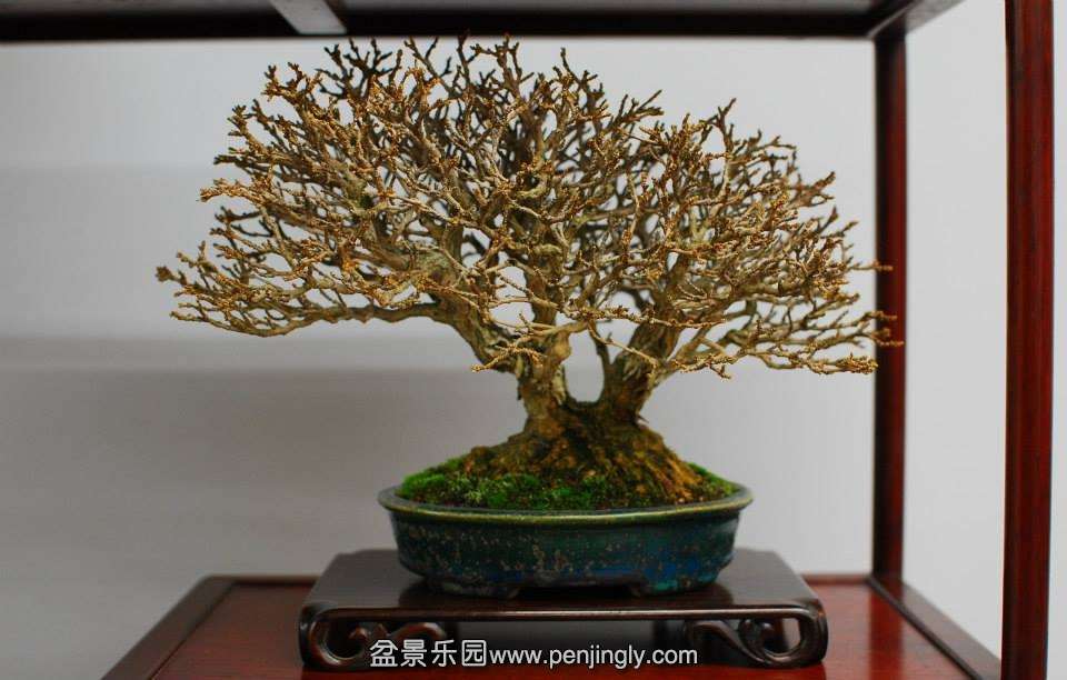 Shuga Ten 01-11-2013 016.jpg