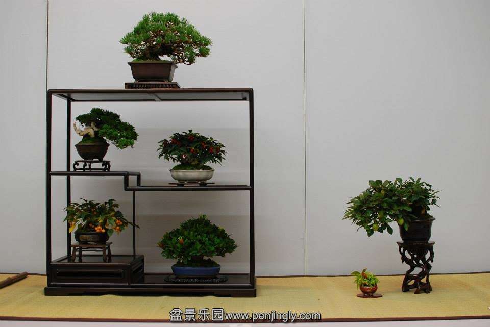 Shuga Ten 01-11-2013 017.jpg