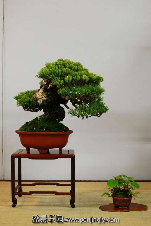 Shuga Ten 01-11-2013 019.jpg