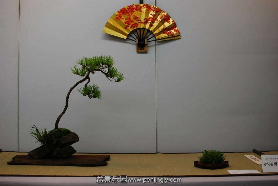 Shuga Ten 01-11-2013 022.jpg