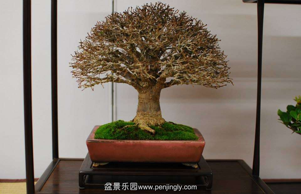 Shuga Ten 01-11-2013 023.jpg