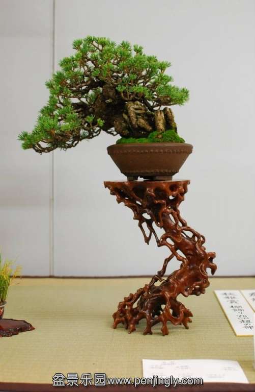 Shuga Ten 01-11-2013 025.jpg