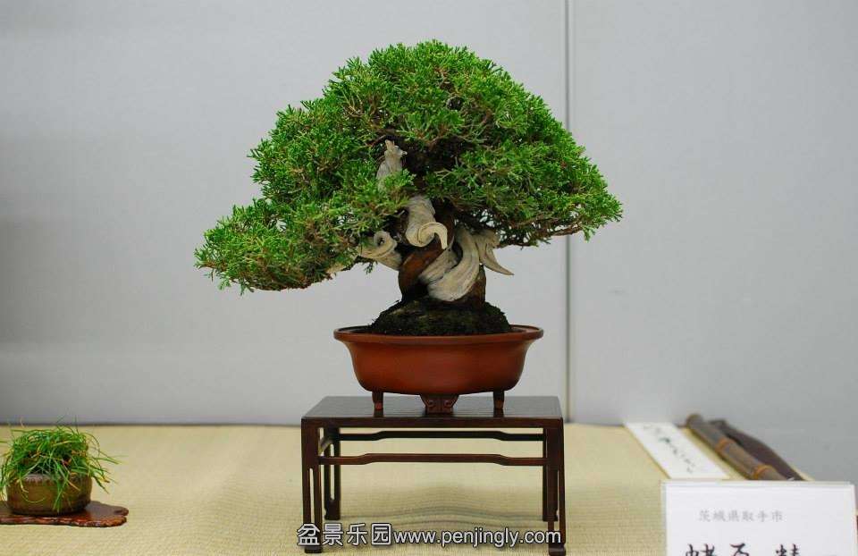 Shuga Ten 01-11-2013 029.jpg