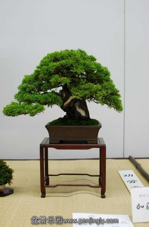 Shuga Ten 01-11-2013 030.jpg