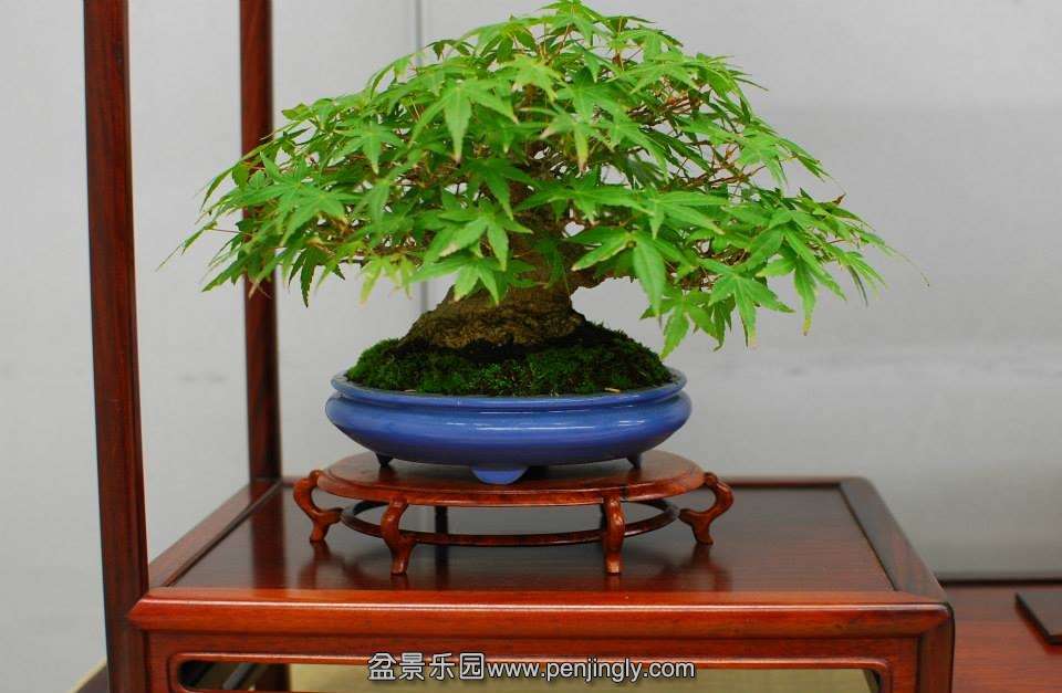 Shuga Ten 01-11-2013 038.jpg