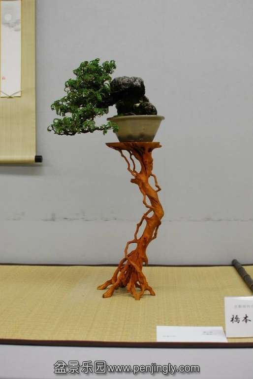 Shuga Ten 01-11-2013 040.jpg