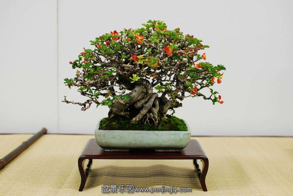 Shuga Ten 01-11-2013 052.jpg