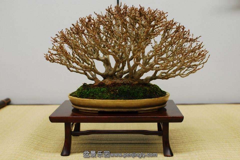 Shuga Ten 01-11-2013 056.jpg