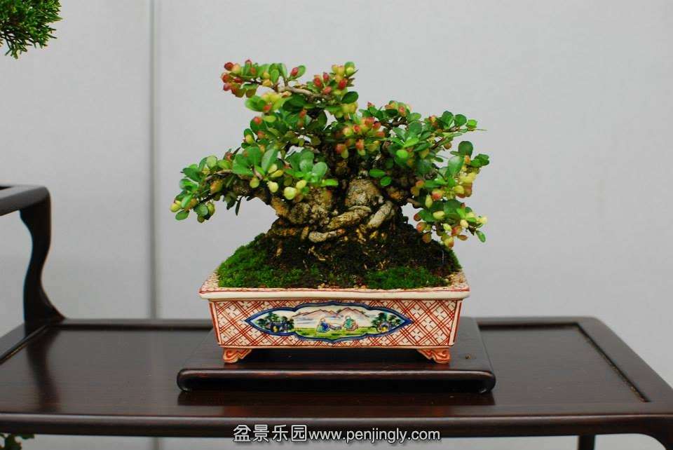 Shuga Ten 01-11-2013 060.jpg