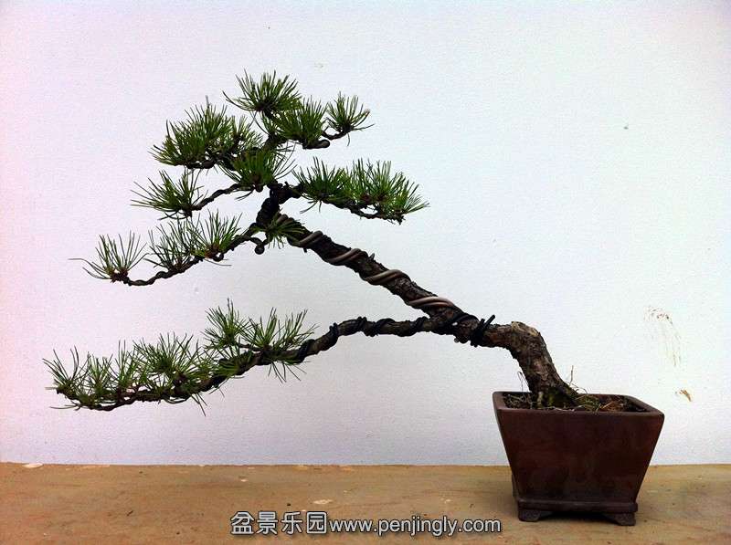 QQͼƬ20140313211658_.jpg