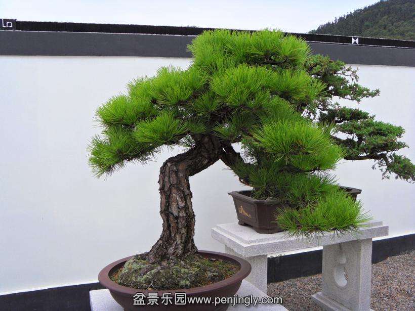 SDC12977.JPG