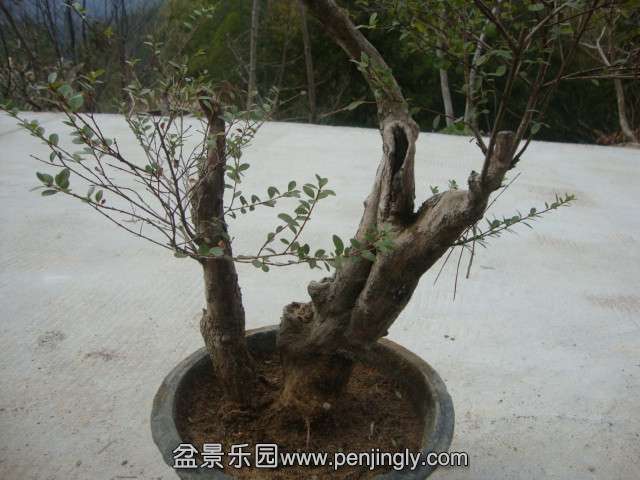 DSC02173_.jpg