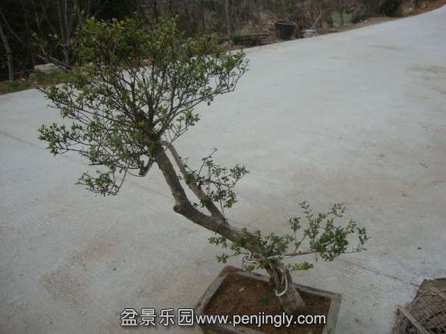 DSC02179_.jpg