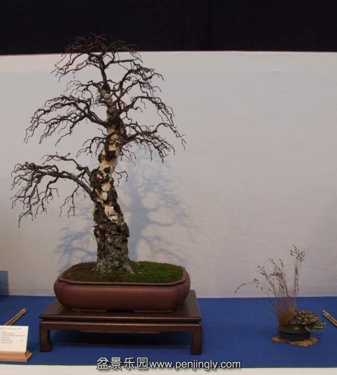 Noelanders Trophy XIV 19-01-2013 077.jpg