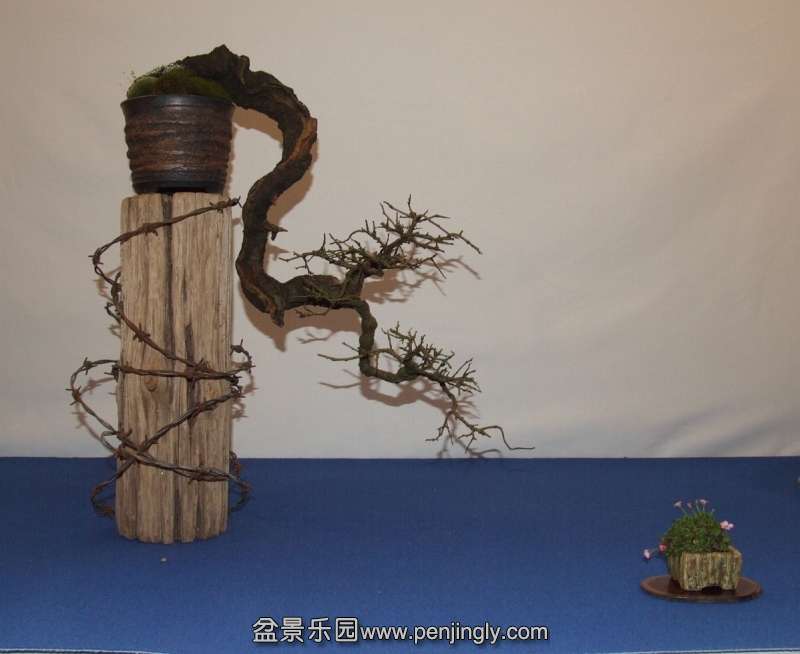 Noelanders Trophy XIV 2013 19-01-2013 233.jpg