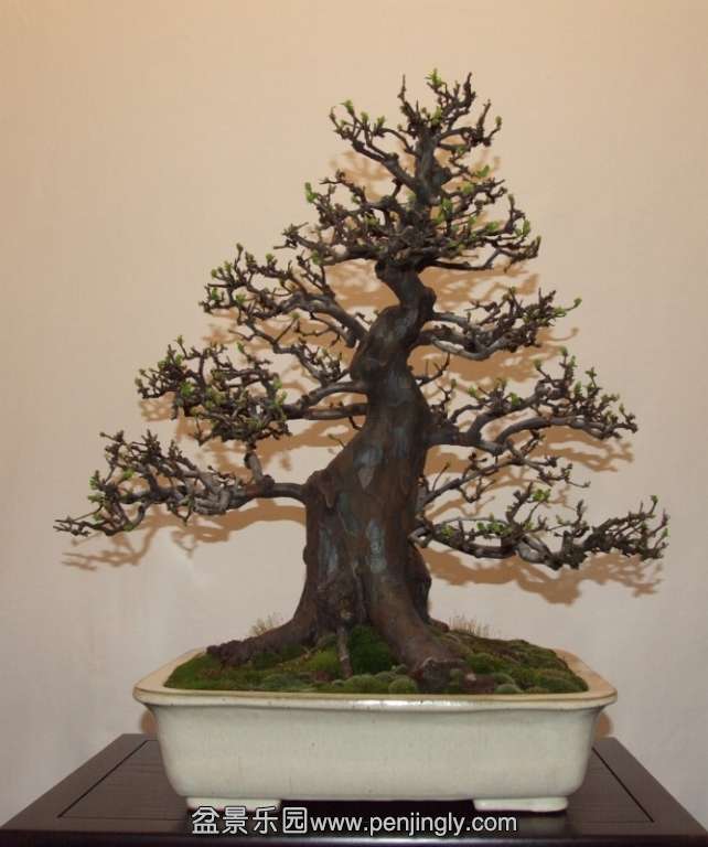 Noelanders Trophy XIV 2013 19-01-2013 251.jpg