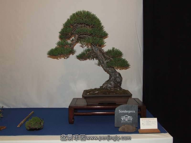 Noelanders Trophy XIV 2013 19-01-2013 371b.jpg