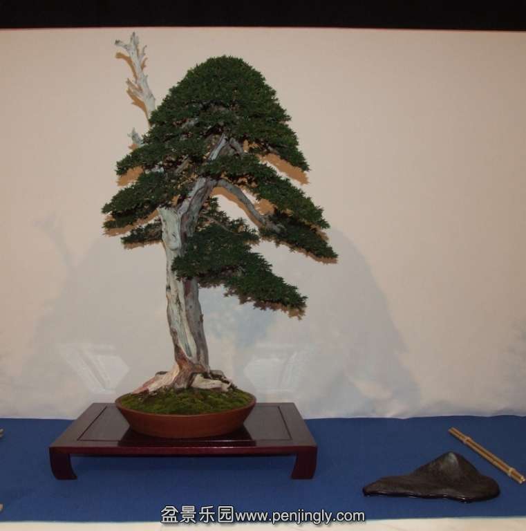 Noelanders Trophy XIV 2013 19-01-2013 429.jpg
