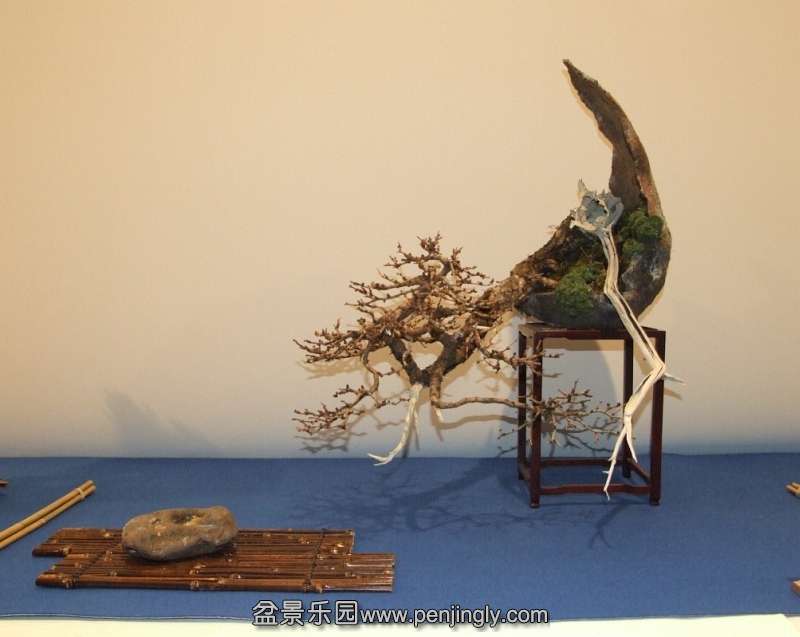 Noelanders Trophy XIV 2013 19-01-2013 457.jpg