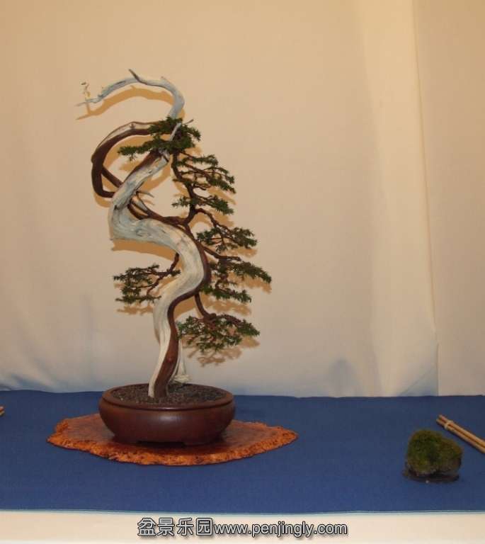 Noelanders Trophy XIV 2013 19-01-2013 469.jpg