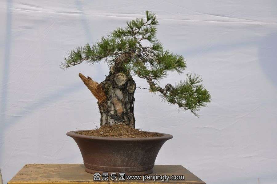 �ҵ��辰 002.jpg