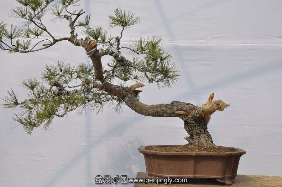 �ҵ��辰 004.jpg