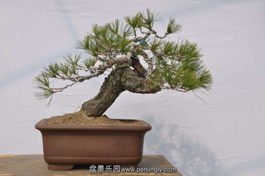 �ҵ��辰 005.jpg