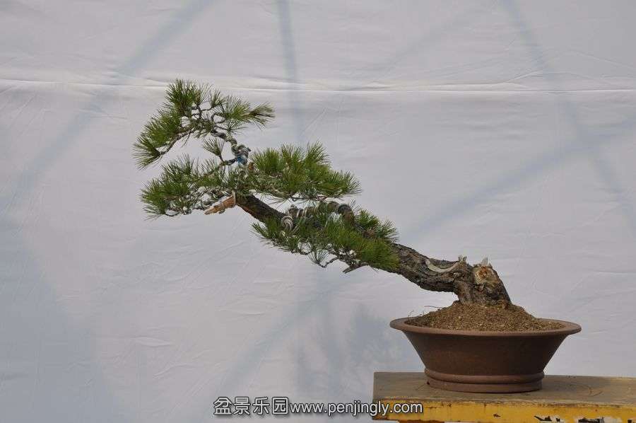 �ҵ��辰 009.jpg